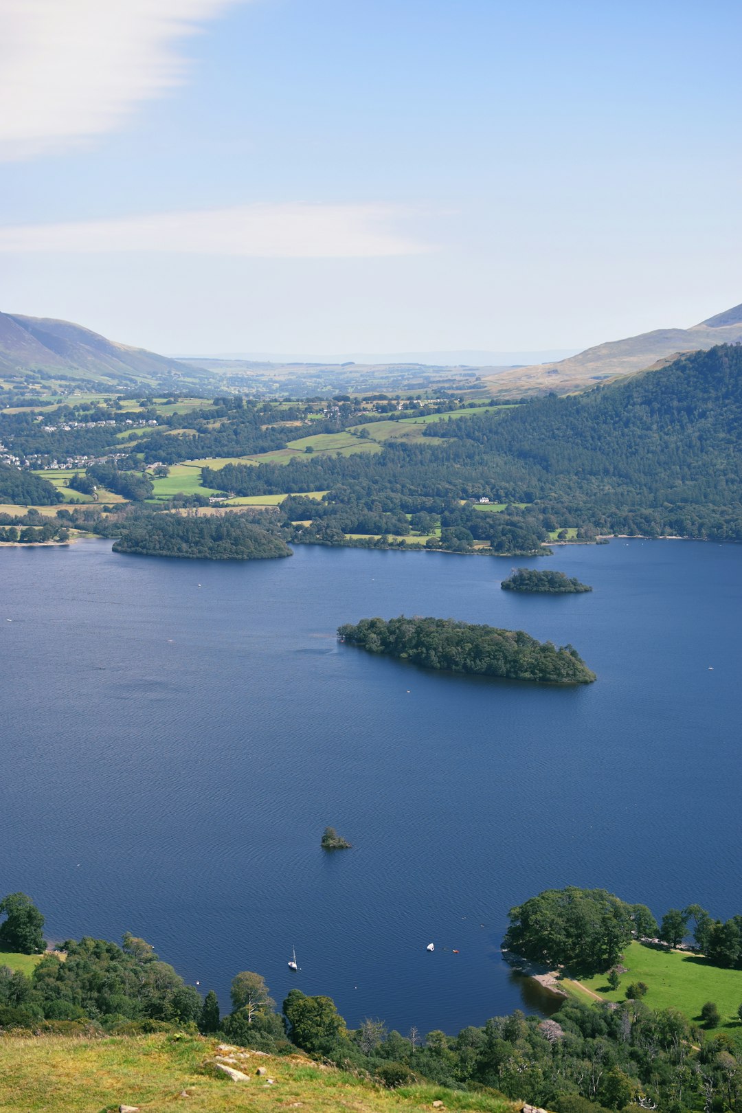 aerial view of green trees and body of water during daytime