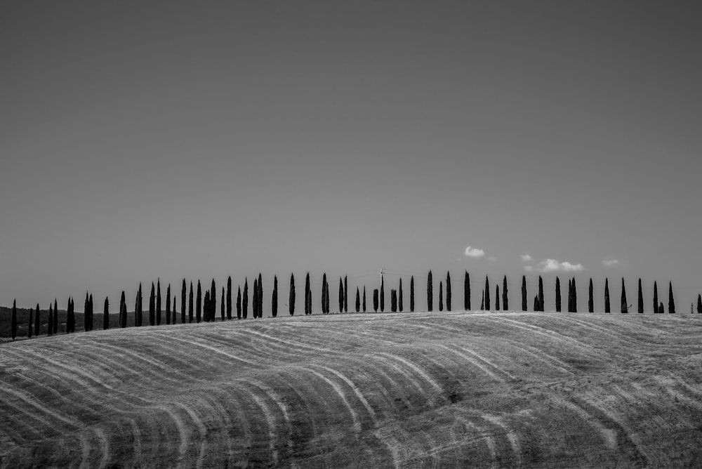 grayscale photo of fence on field