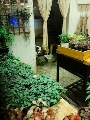 A cozy interior space featuring various green plants arranged on tables and shelves. A wooden crate holds potted plants in the foreground, while a couple of hanging plants add a vertical element. In the background, a set of curtains partially conceals a small area where a dog with a spotted coat is peeking out. The concrete floor and subtle lighting create a warm and inviting atmosphere.