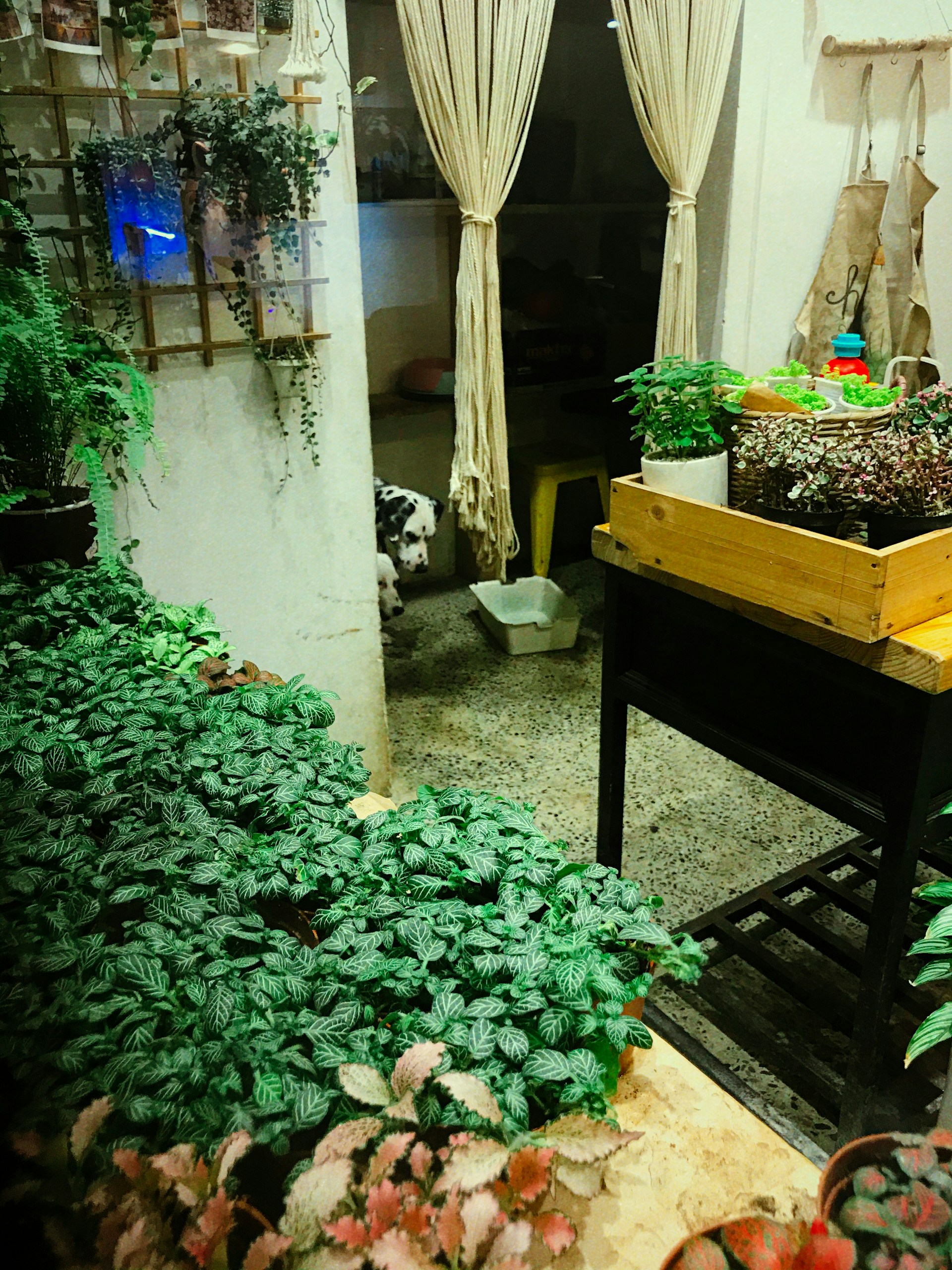 woman wearing yellow long-sleeved dress under white clouds and blue sky during daytime