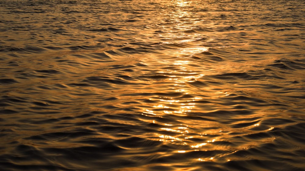 body of water during daytime