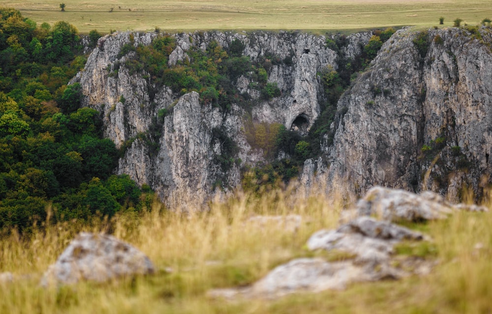 green grass field and gray rocky mountain during daytime