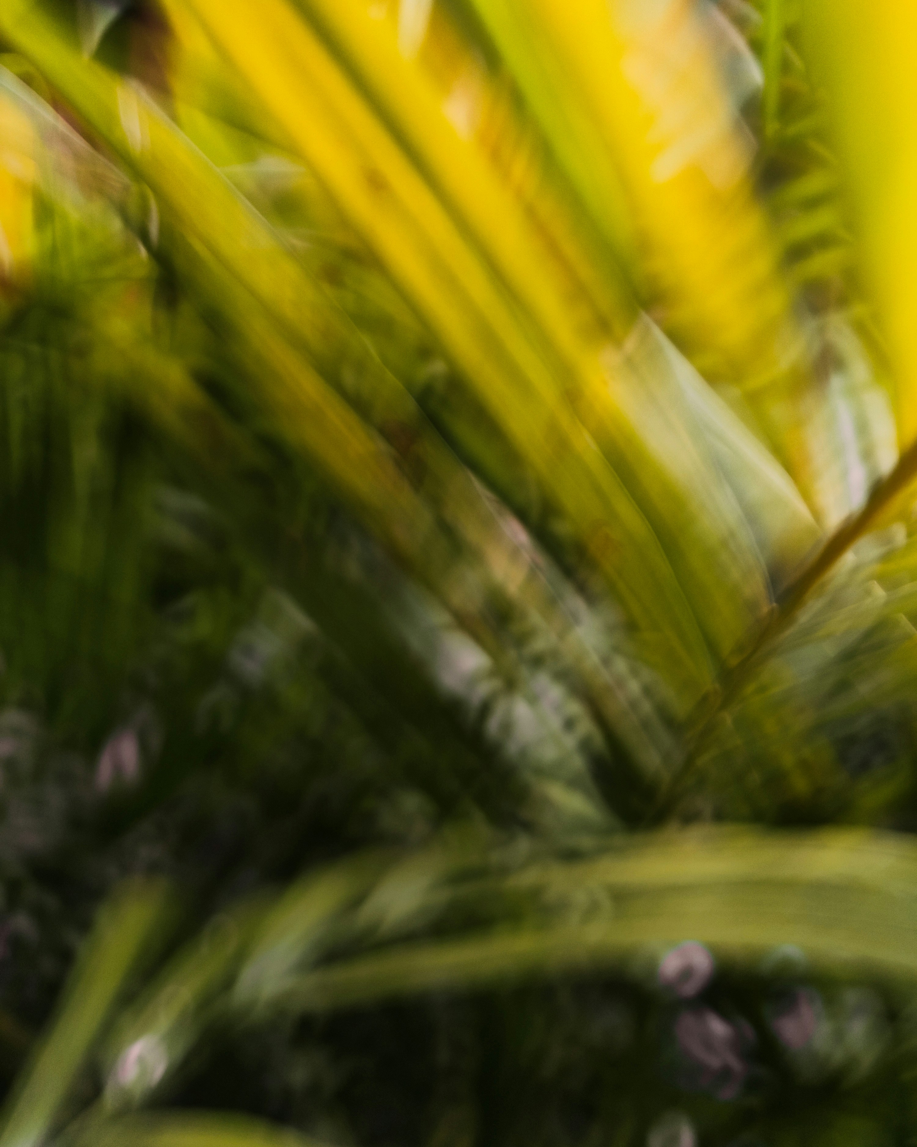 Photo by deepak_jpeg