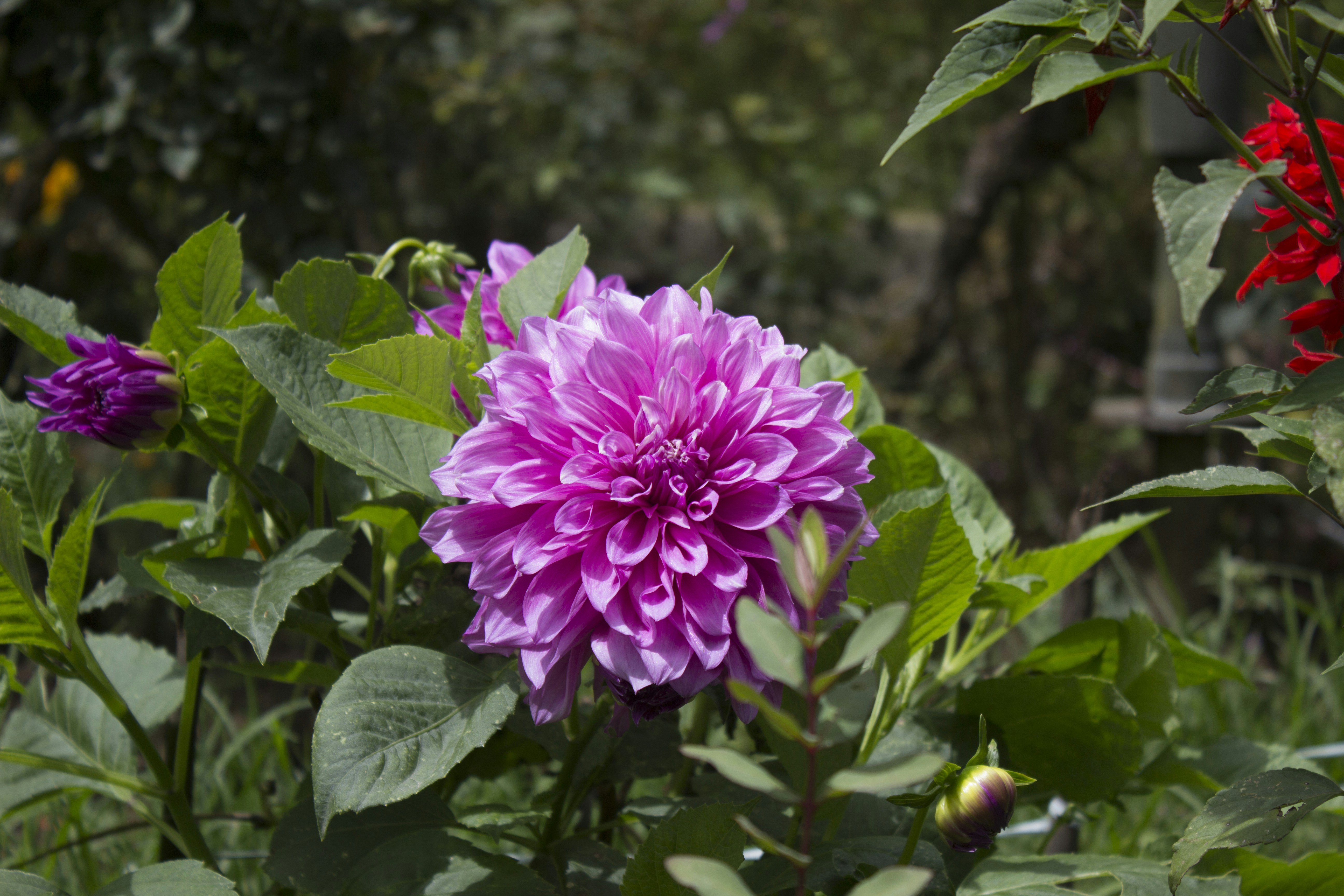 Photo by chidambaram1982