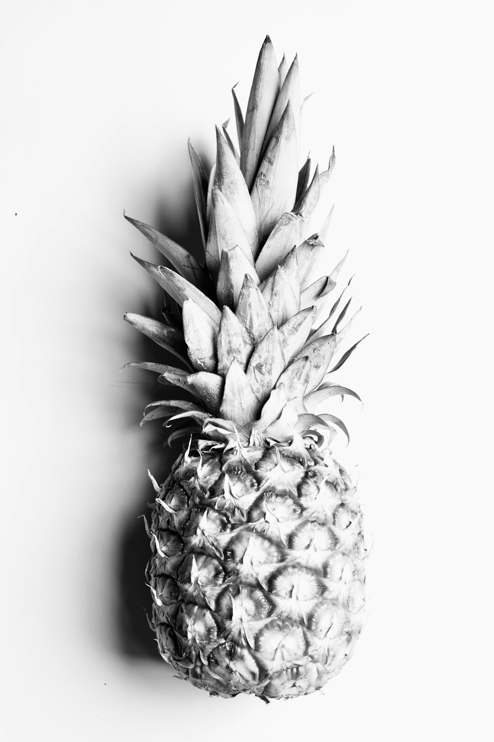 pineapple fruit on white surface