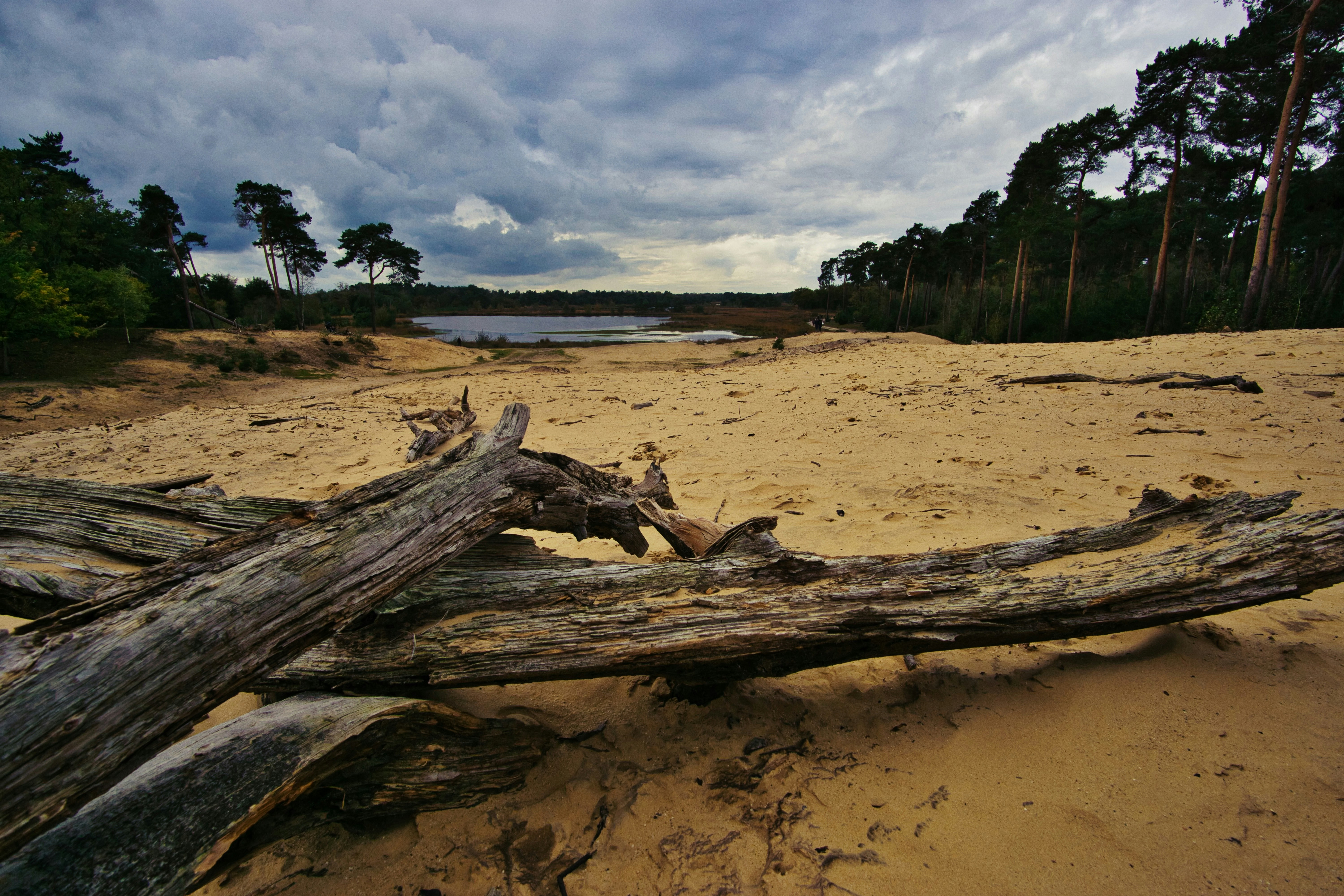 Photo by joranquinten