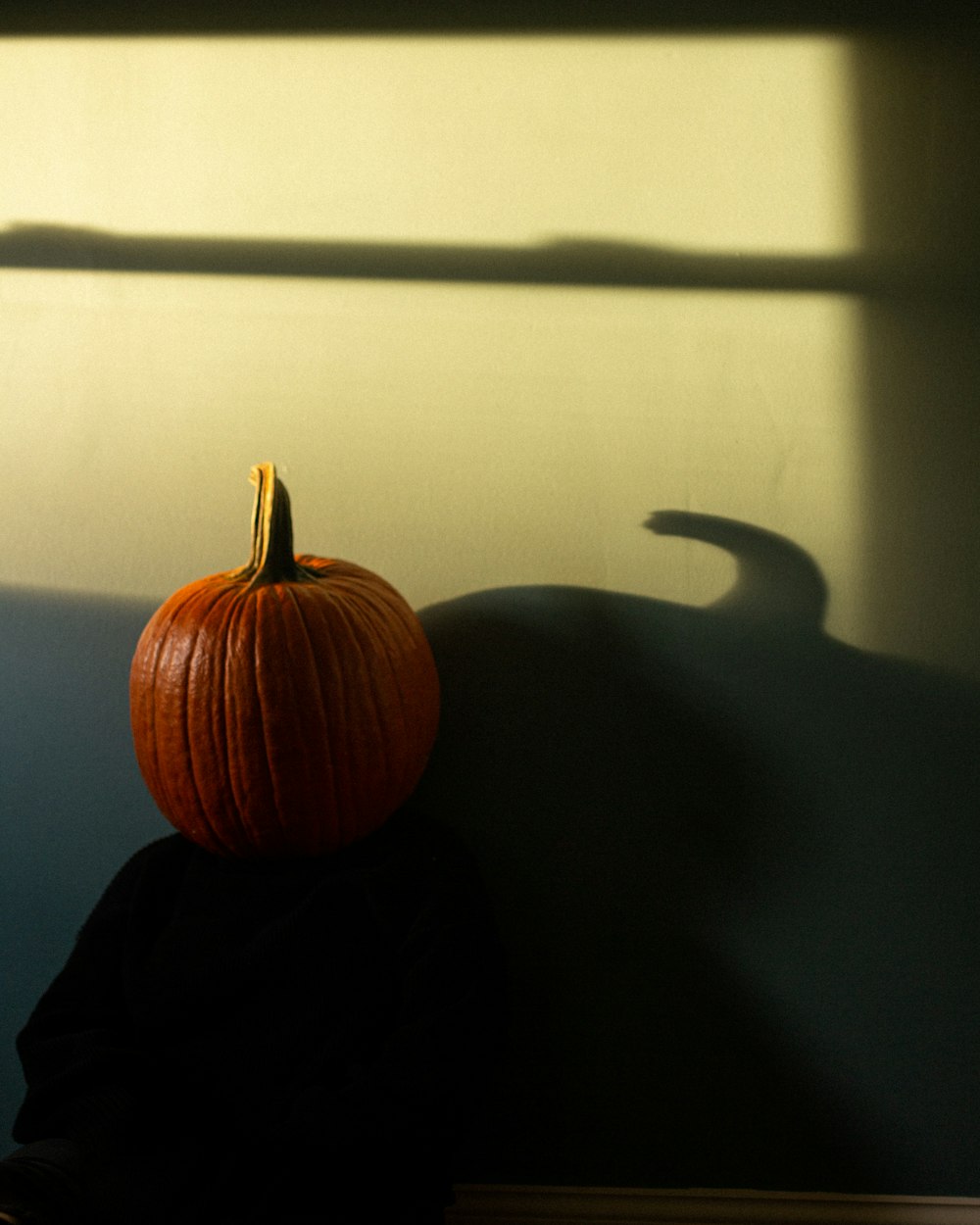 pumpkin on black textile in front of window