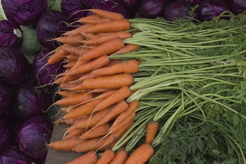orange carrots on purple and green leaves