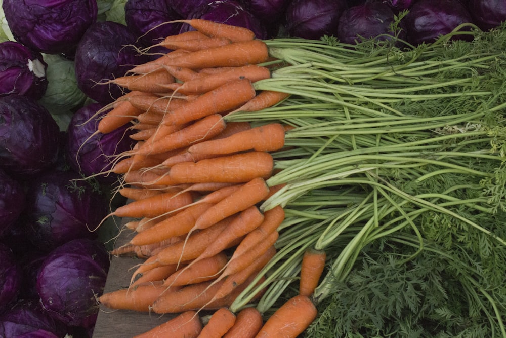 orange carrots on purple and green leaves