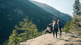 A group of four people is on a hiking trip. They are standing on a rocky outcrop or ledge overlooking a forested mountain range. One person is sitting, and the others are standing, with one person pointing towards the distance. They are dressed in casual outdoor gear, including backpacks. The background features a vast expanse of trees and mountains under a clear sky.