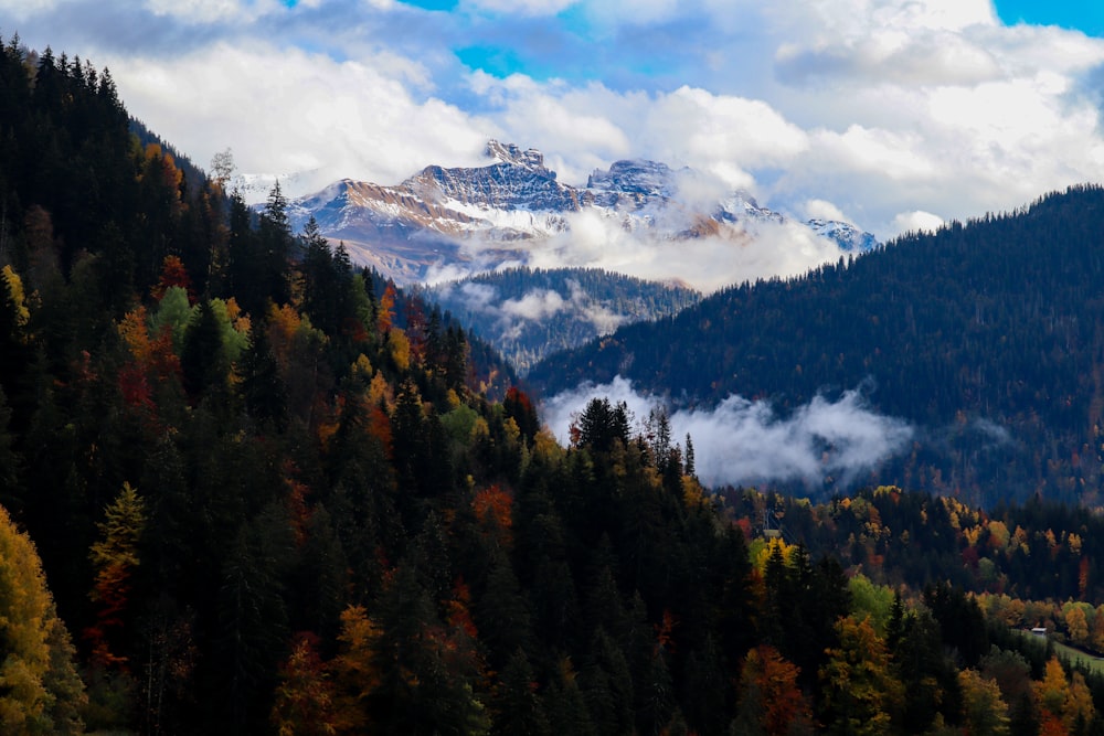 green trees on mountain under white clouds during daytime