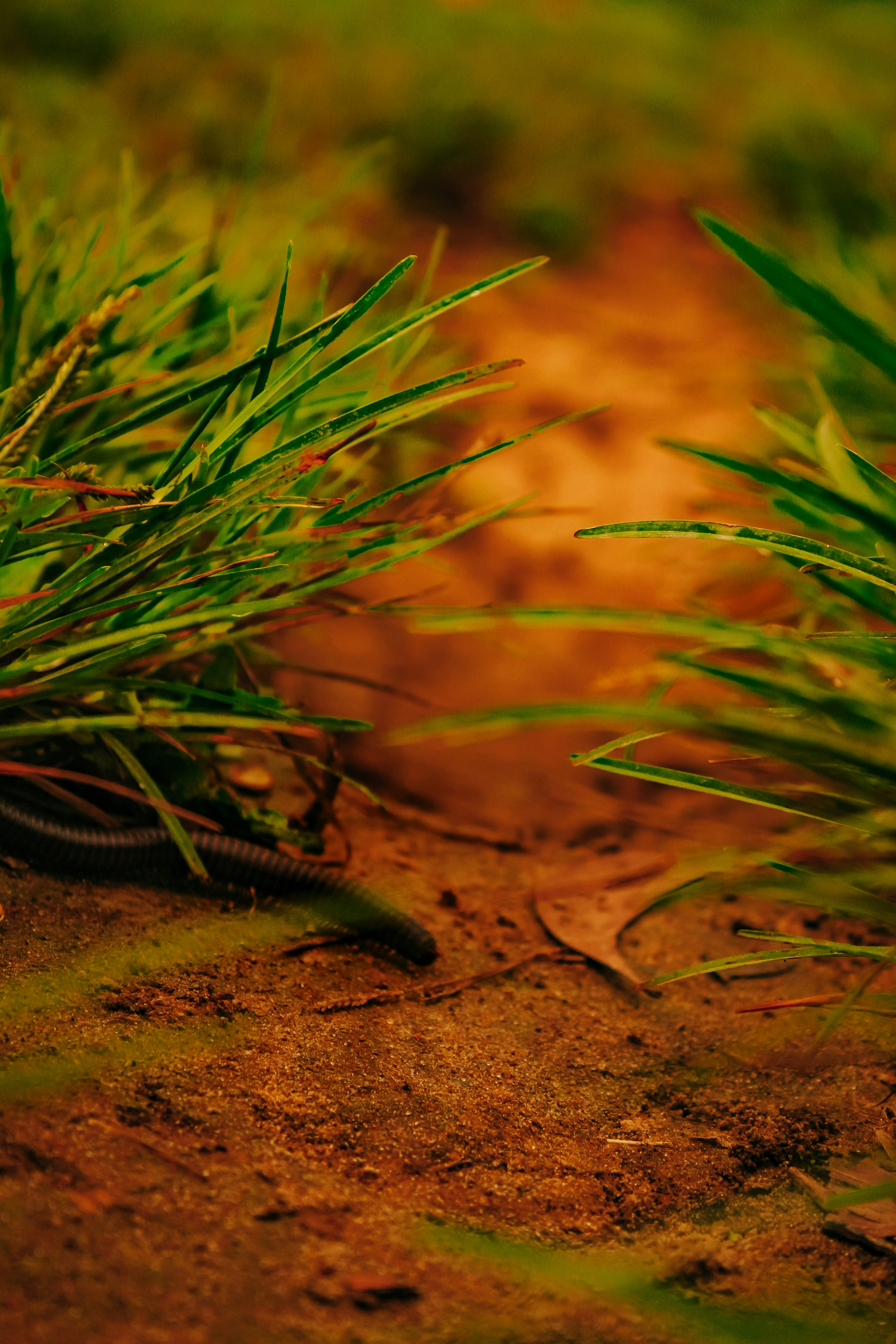 Photo by fardin_malik