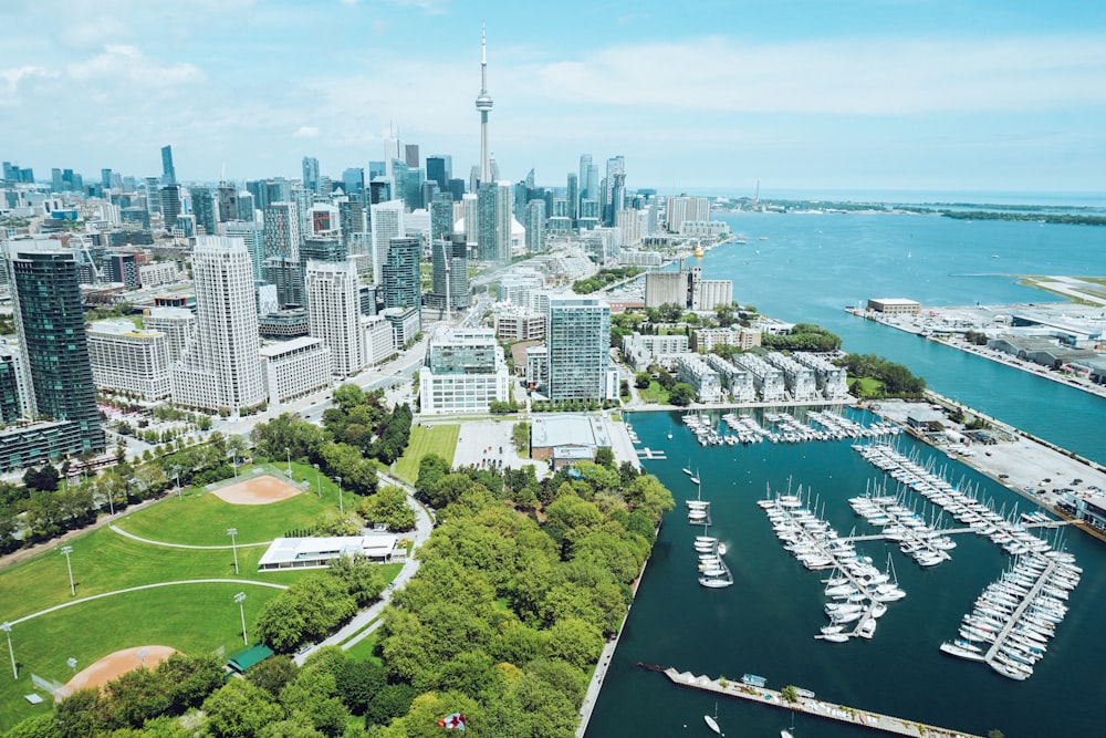 aerial view of city buildings during daytime