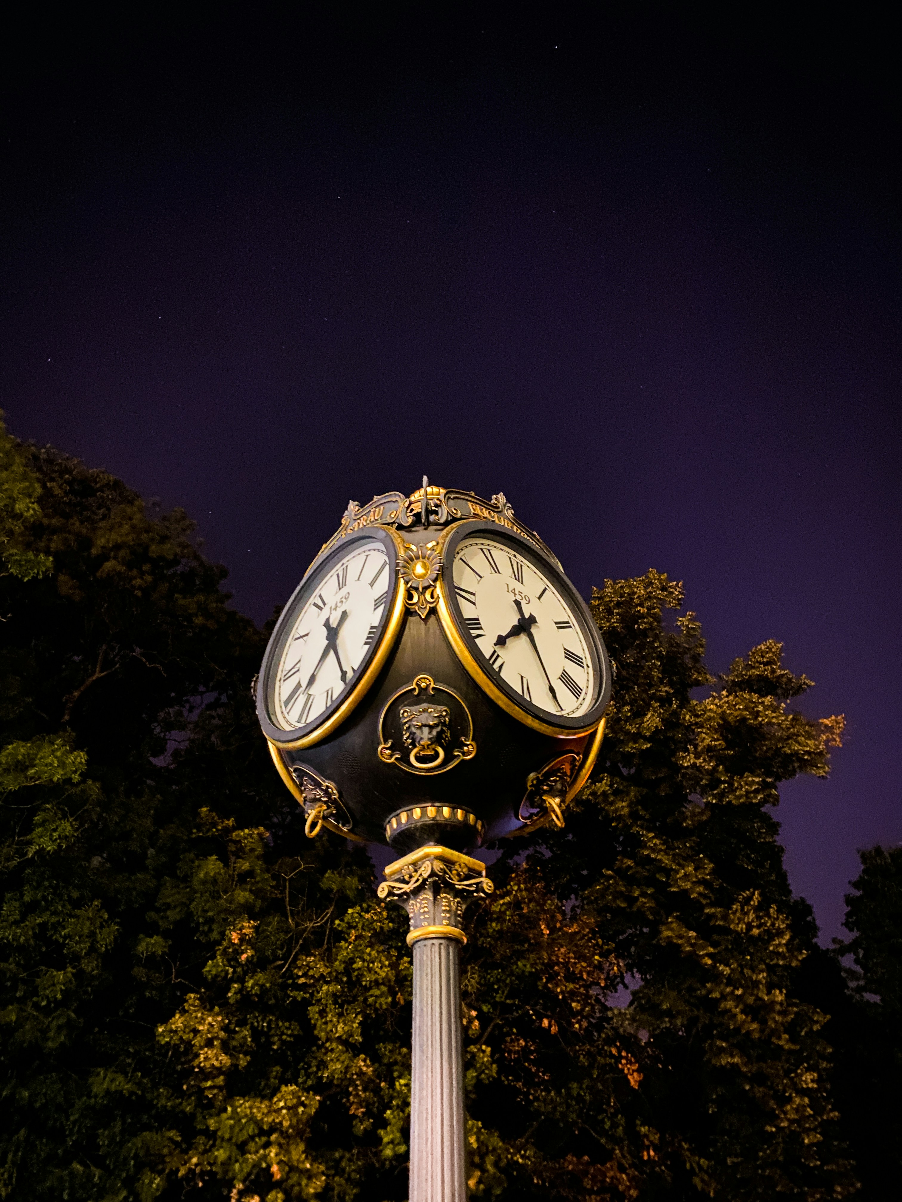 Photo by razvan_turcanu