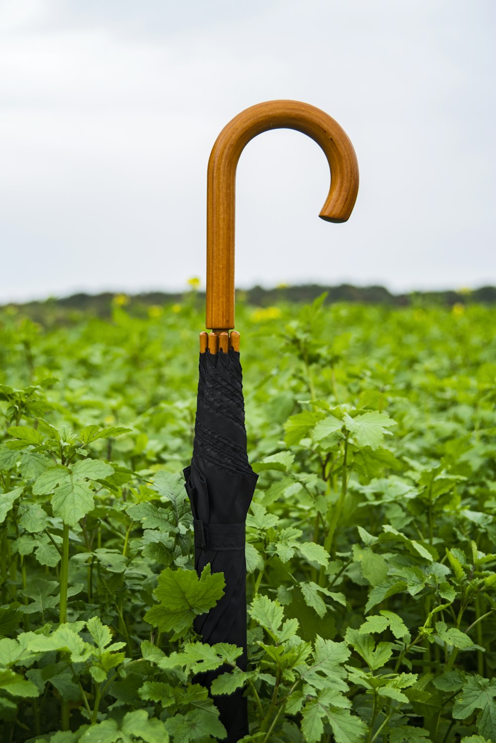 person in black pants holding brown umbrella standing on green grass field during daytime