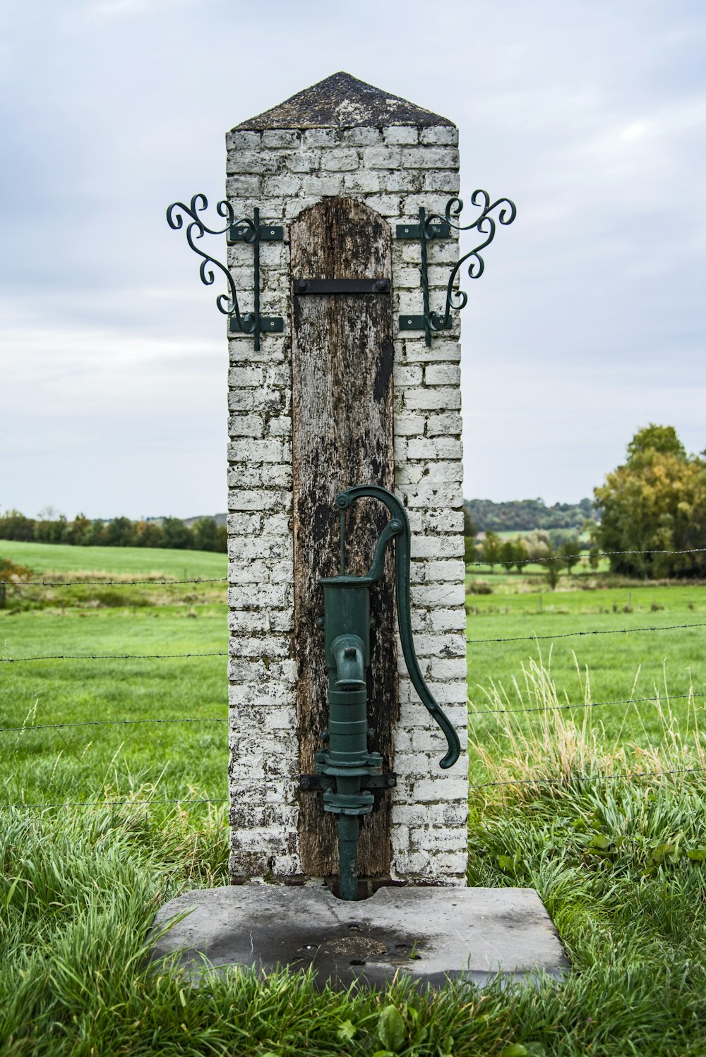 black and brown metal fire hydrant on green grass field during daytime