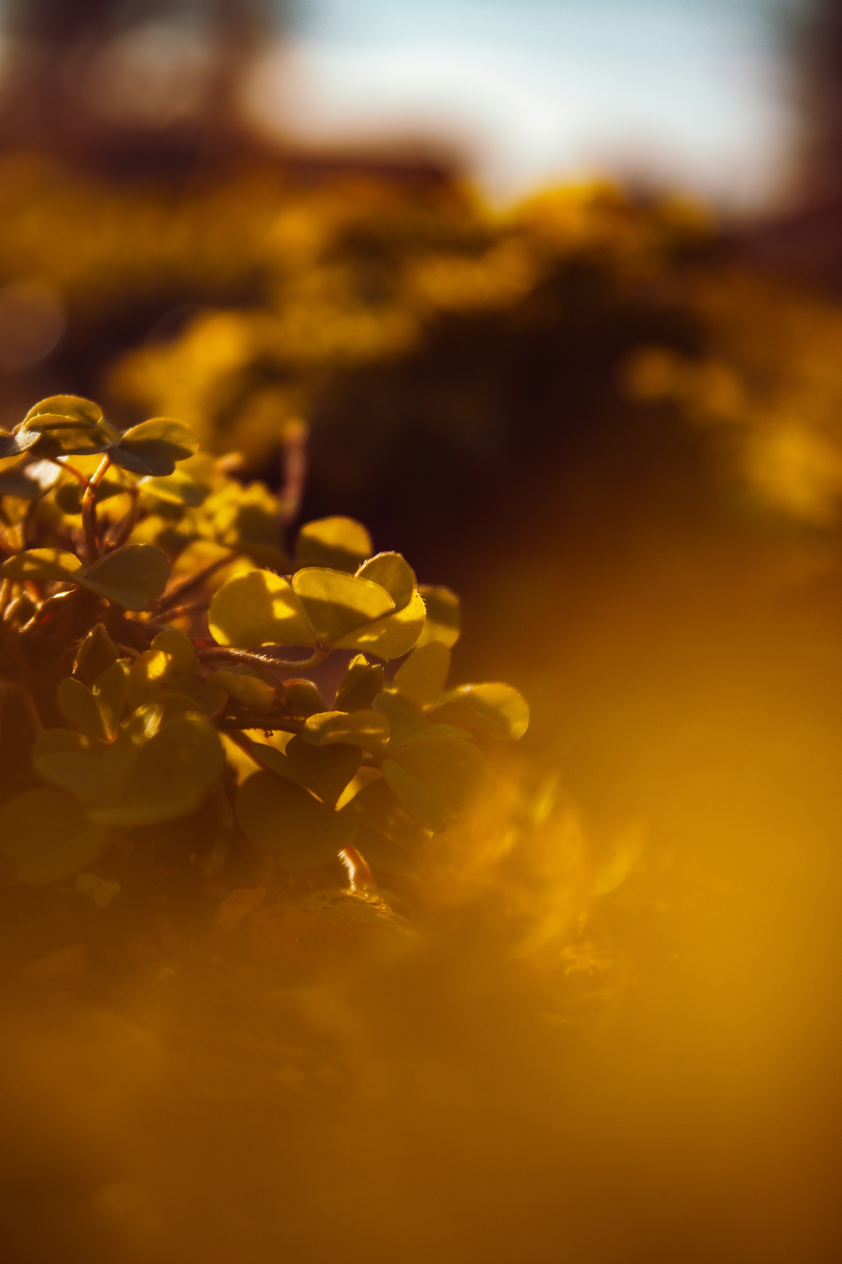 Photo by marin_croatia