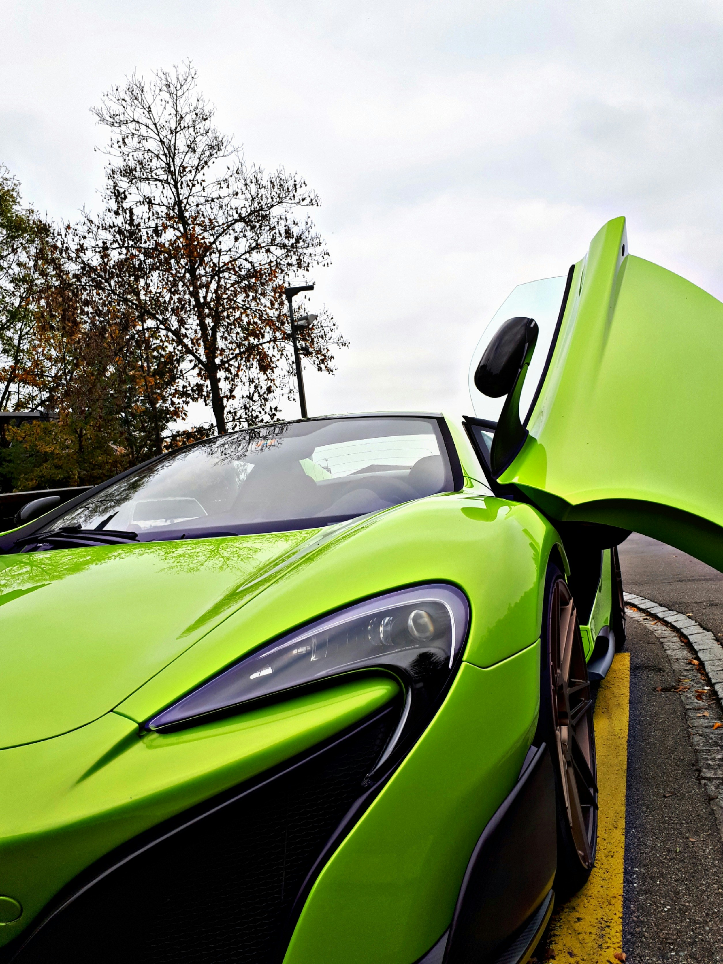 Photo by timkrisztian