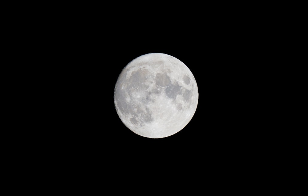 full moon on white background