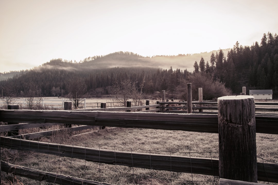 brown wooden fence near trees during daytime