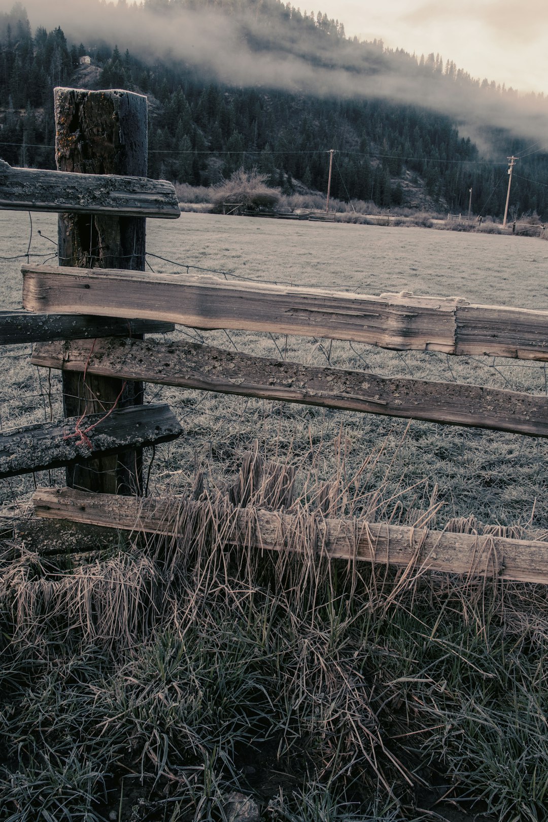 brown wooden fence on brown grass field during daytime