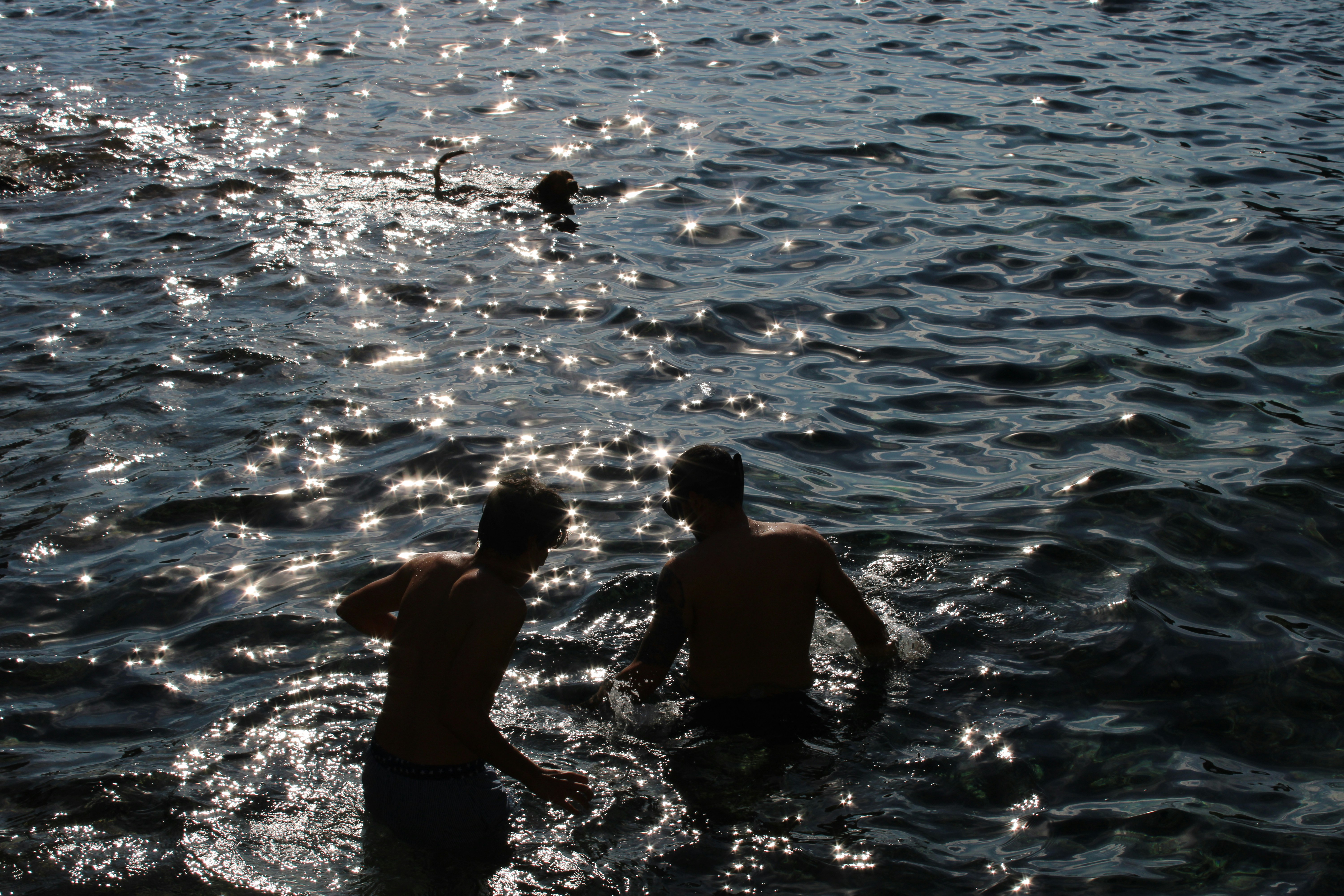 Photo by anatomescu92