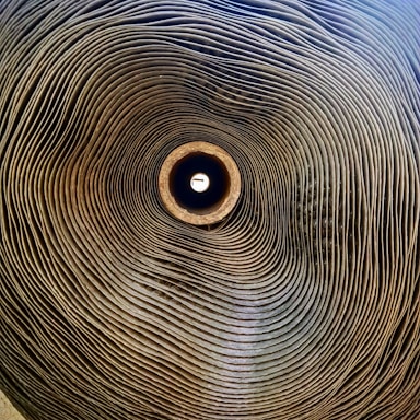 A tightly rolled stack of corrugated cardboard seen from a central perspective, creating a spiral pattern that draws the eye towards the bright center.