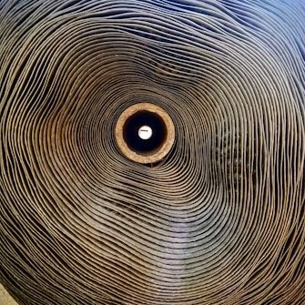A tightly rolled stack of corrugated cardboard seen from a central perspective, creating a spiral pattern that draws the eye towards the bright center.