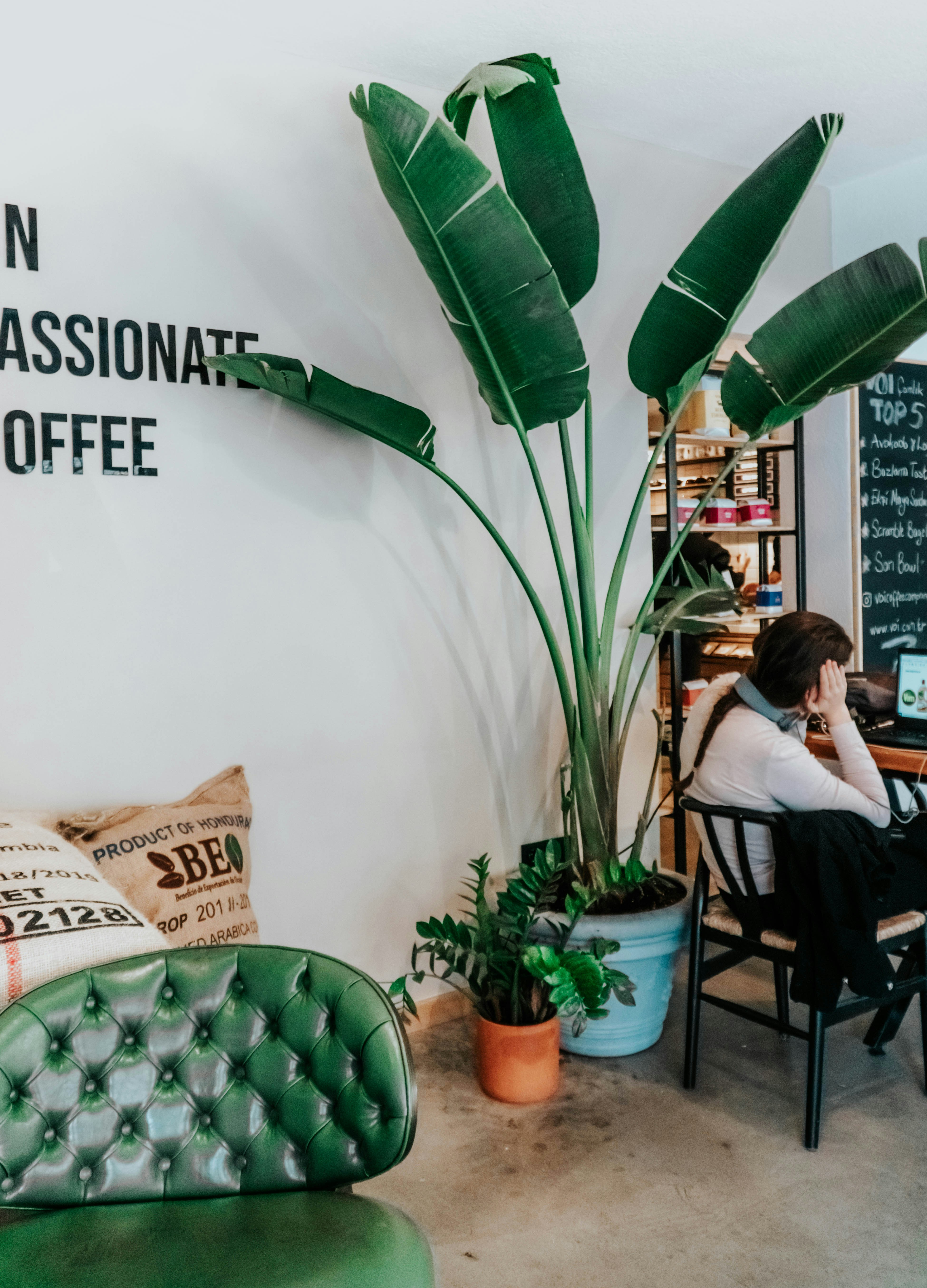 Photo by ceydaciftci