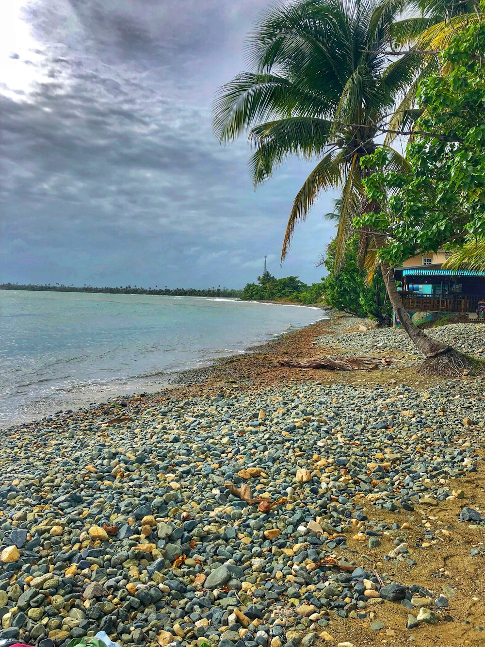 green and blue boat on beach during daytime