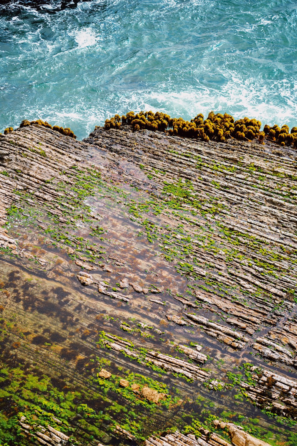 aerial view of green and brown land