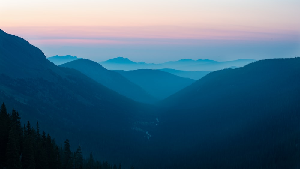 green trees on mountain during daytime