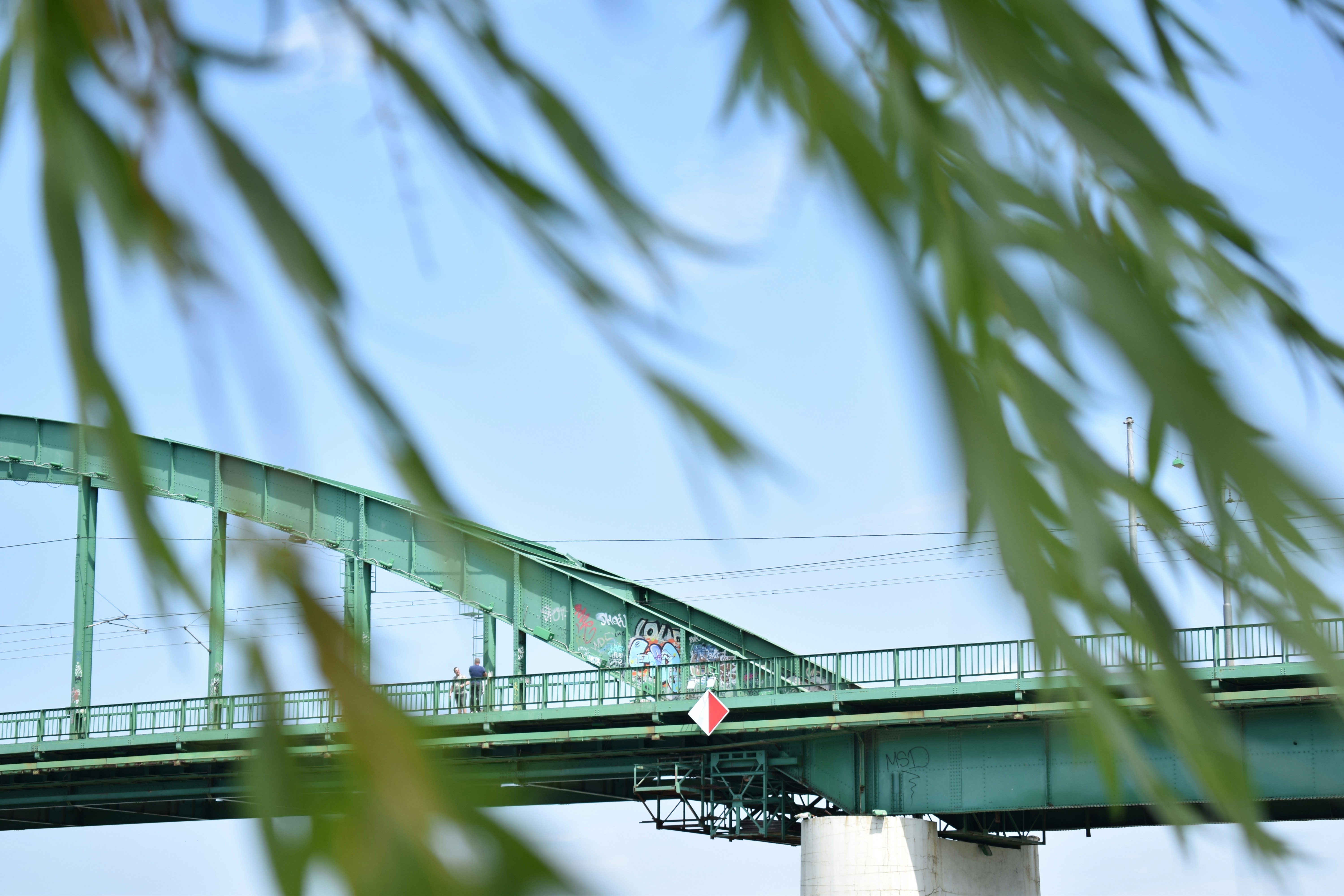 Photo by tamara_photography