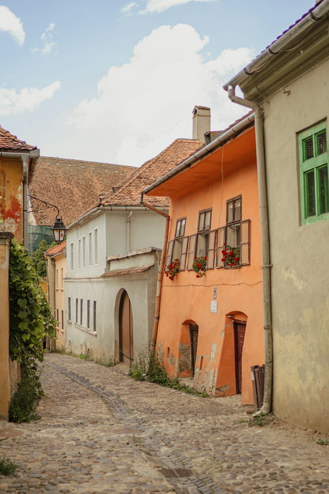 Town photo spot SighiÈ™oara Bran Castle