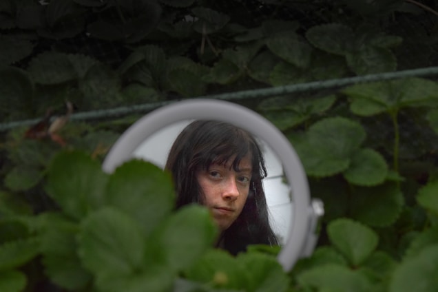 A person's face is reflected in a round mirror surrounded by lush green foliage, creating a natural and introspective scene.