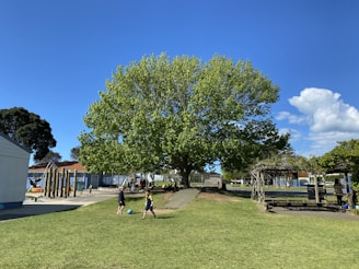 Children playing together on the lush green school playground under a clear blue sky
