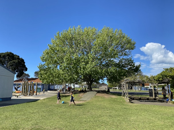 Children playing together on the lush green school playground under a clear blue sky
