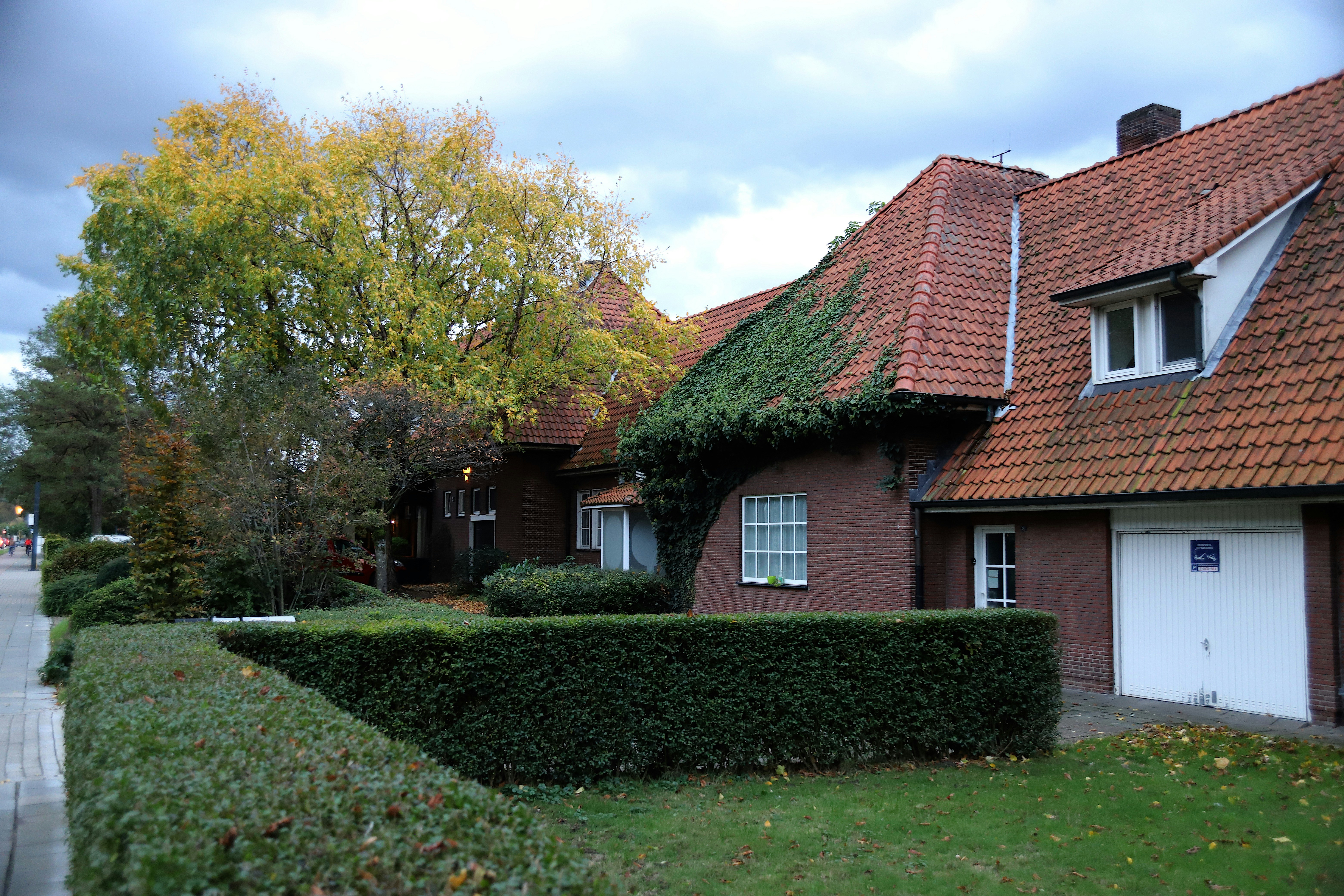 Photo by takeshi_morisato