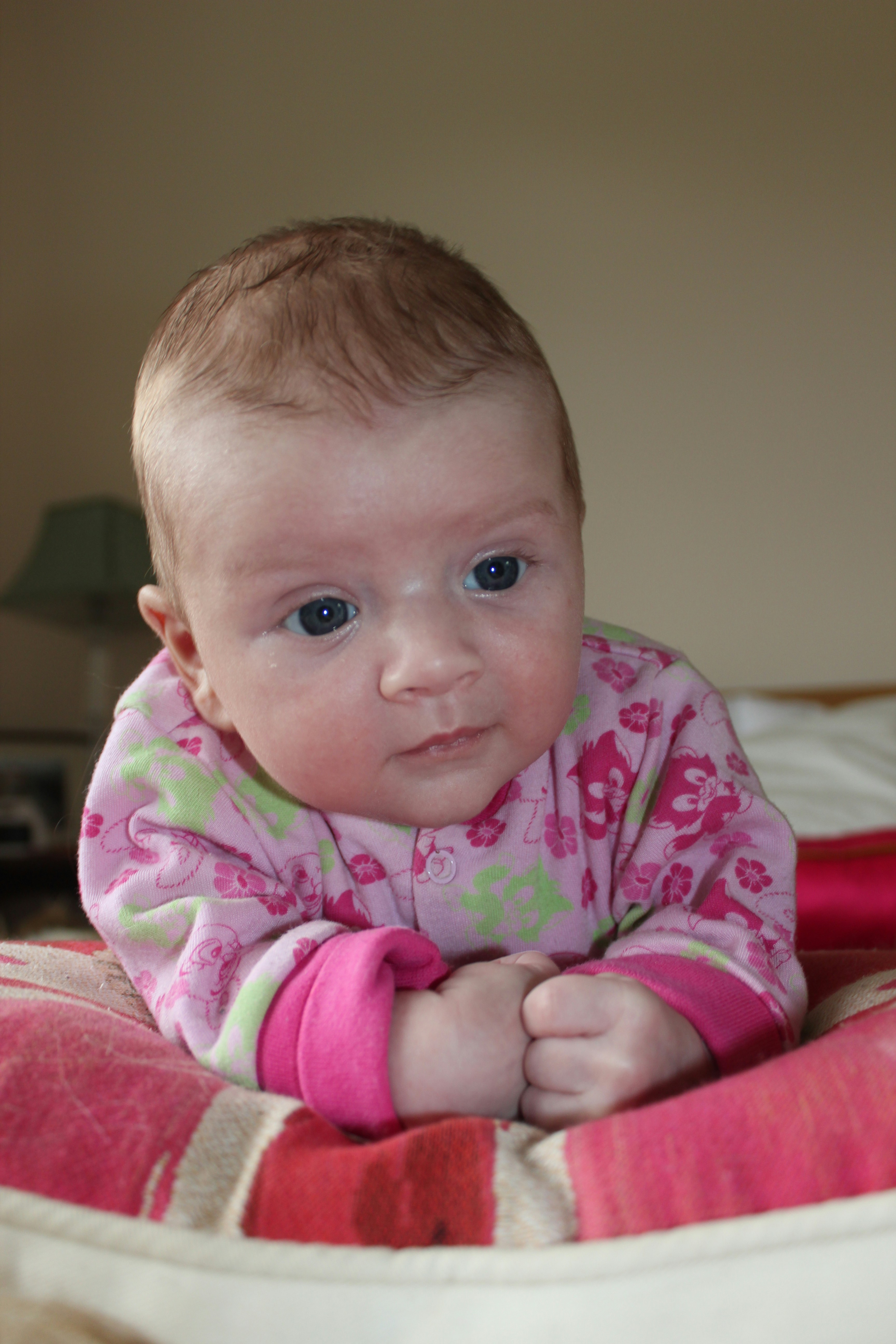 Photo by evsolutionsgroup