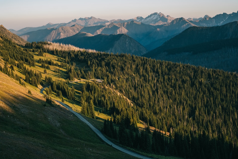 Voegel bestimmen im garten die 15 haeufigsten arten auf einen blick — helpful reference illustration
