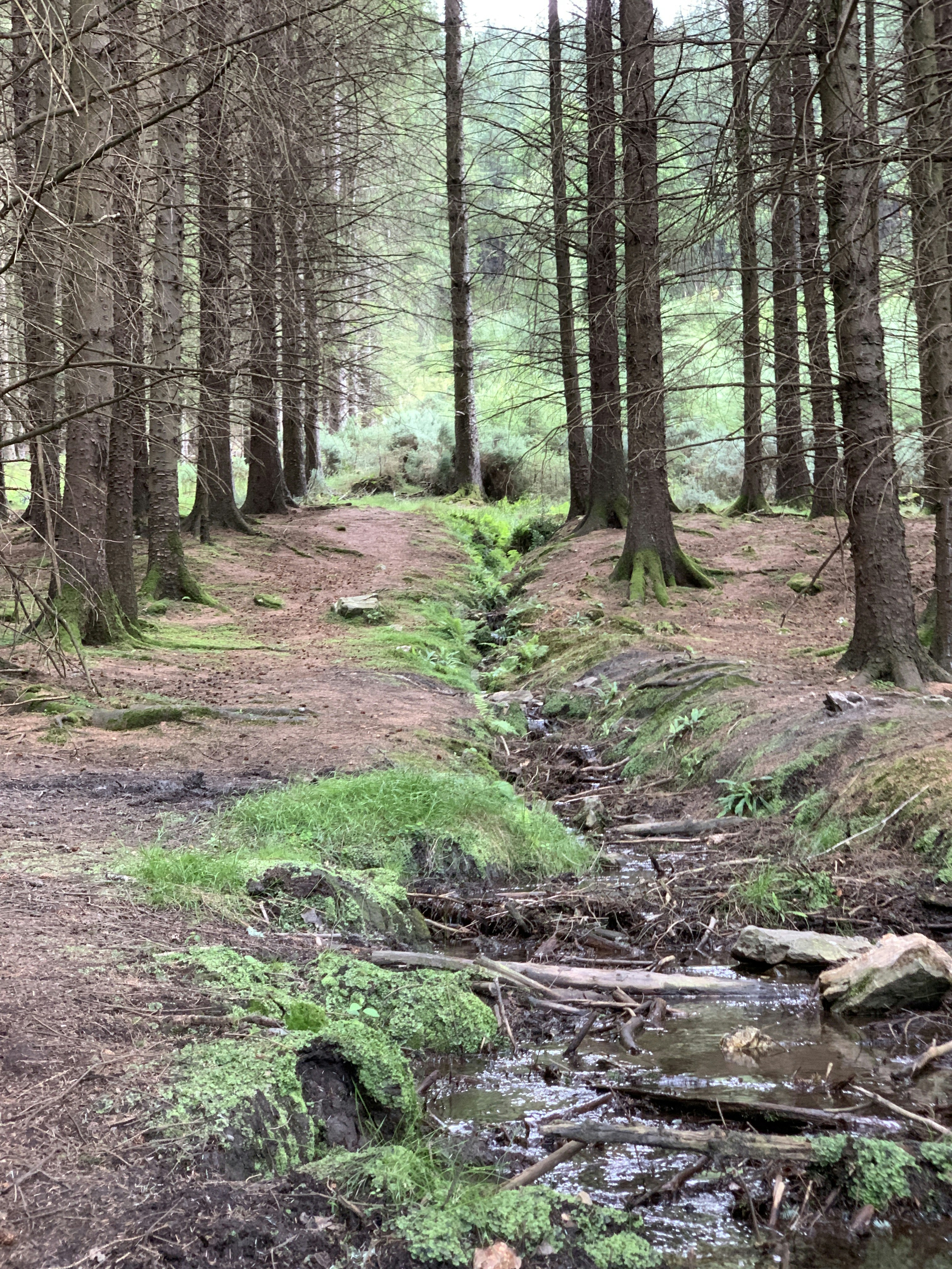 Photo by kevinprotein