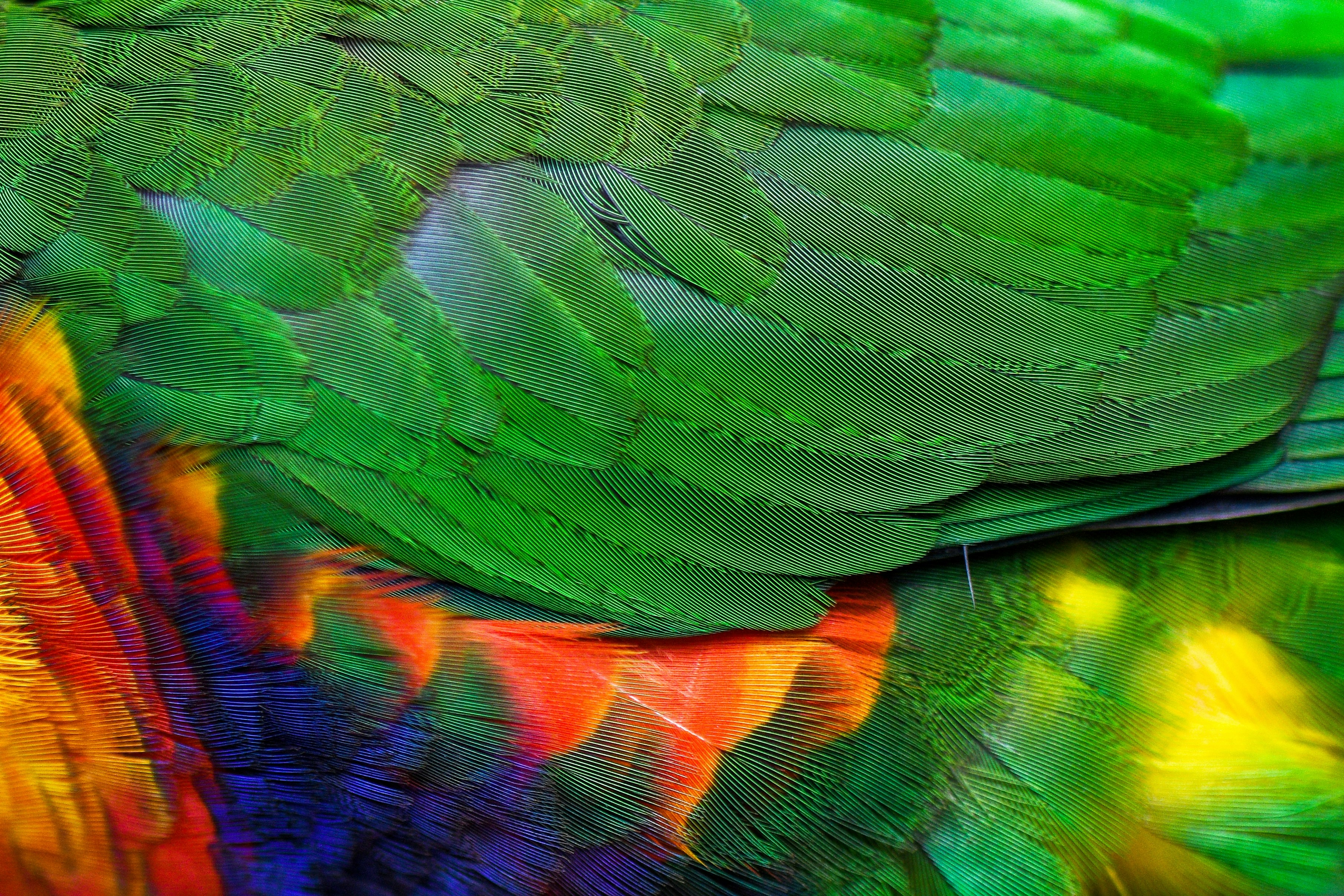 Photo by peterneumann