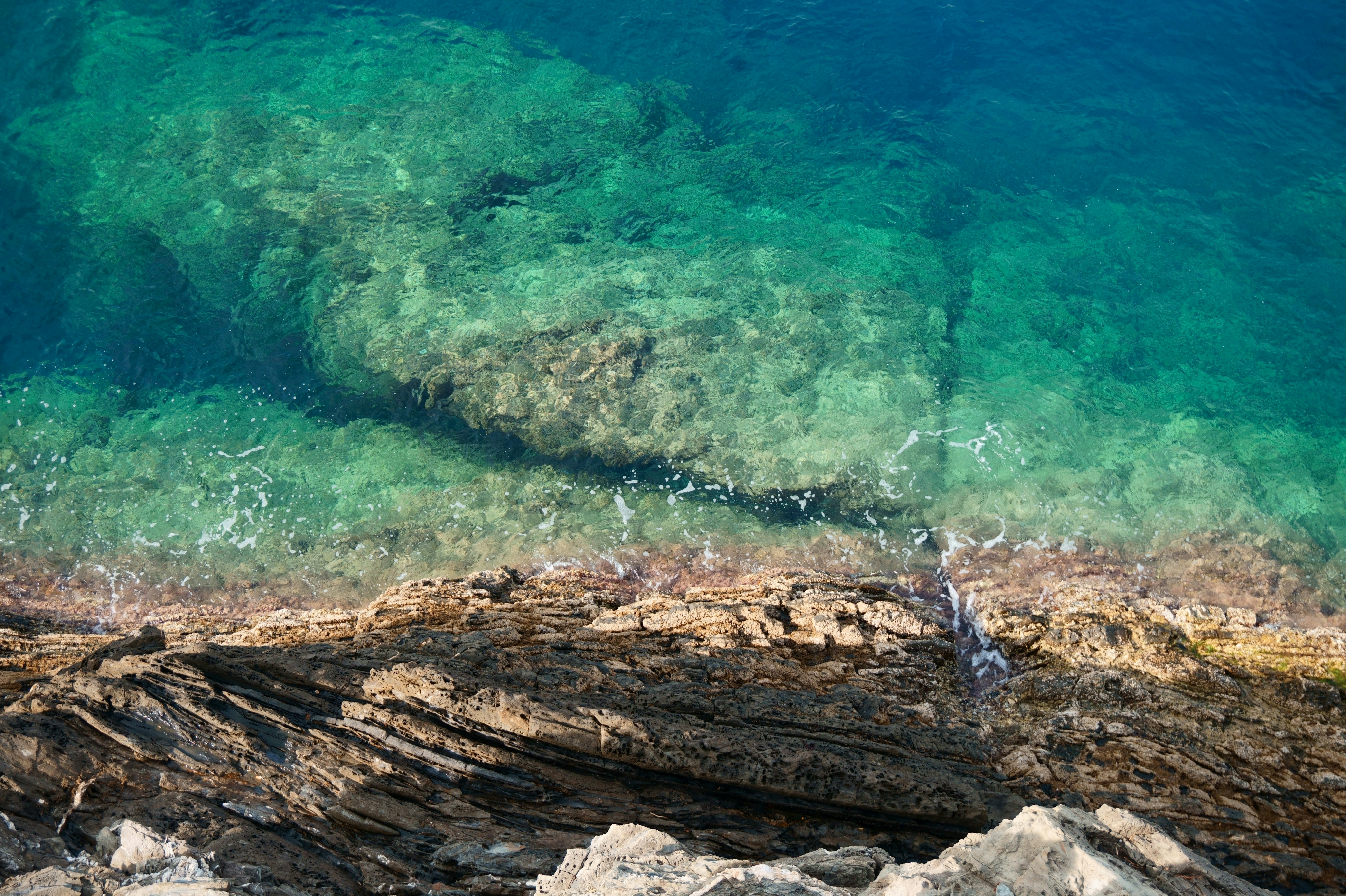 Photo by kevinmartinjose