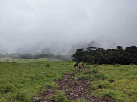 A group of hunters walking through a lush field.