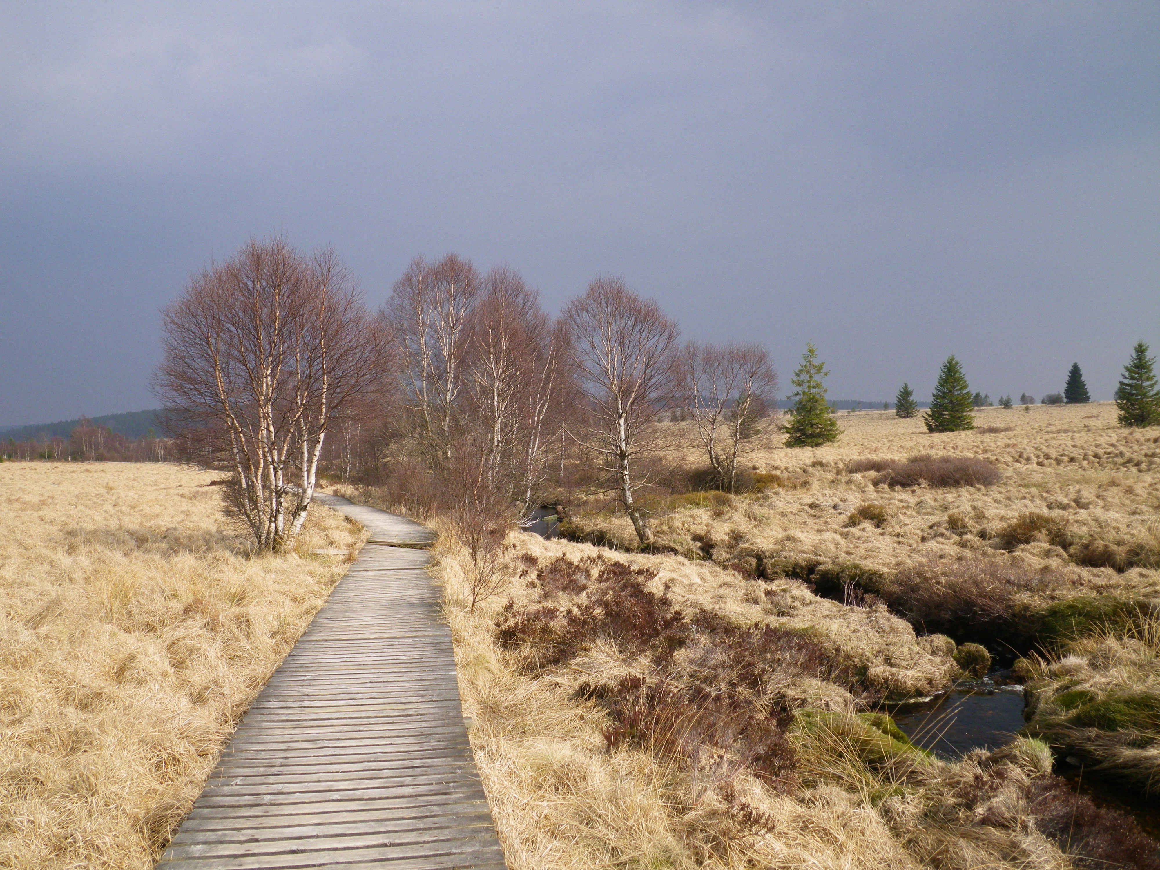 Photo by goodmorningbrussels