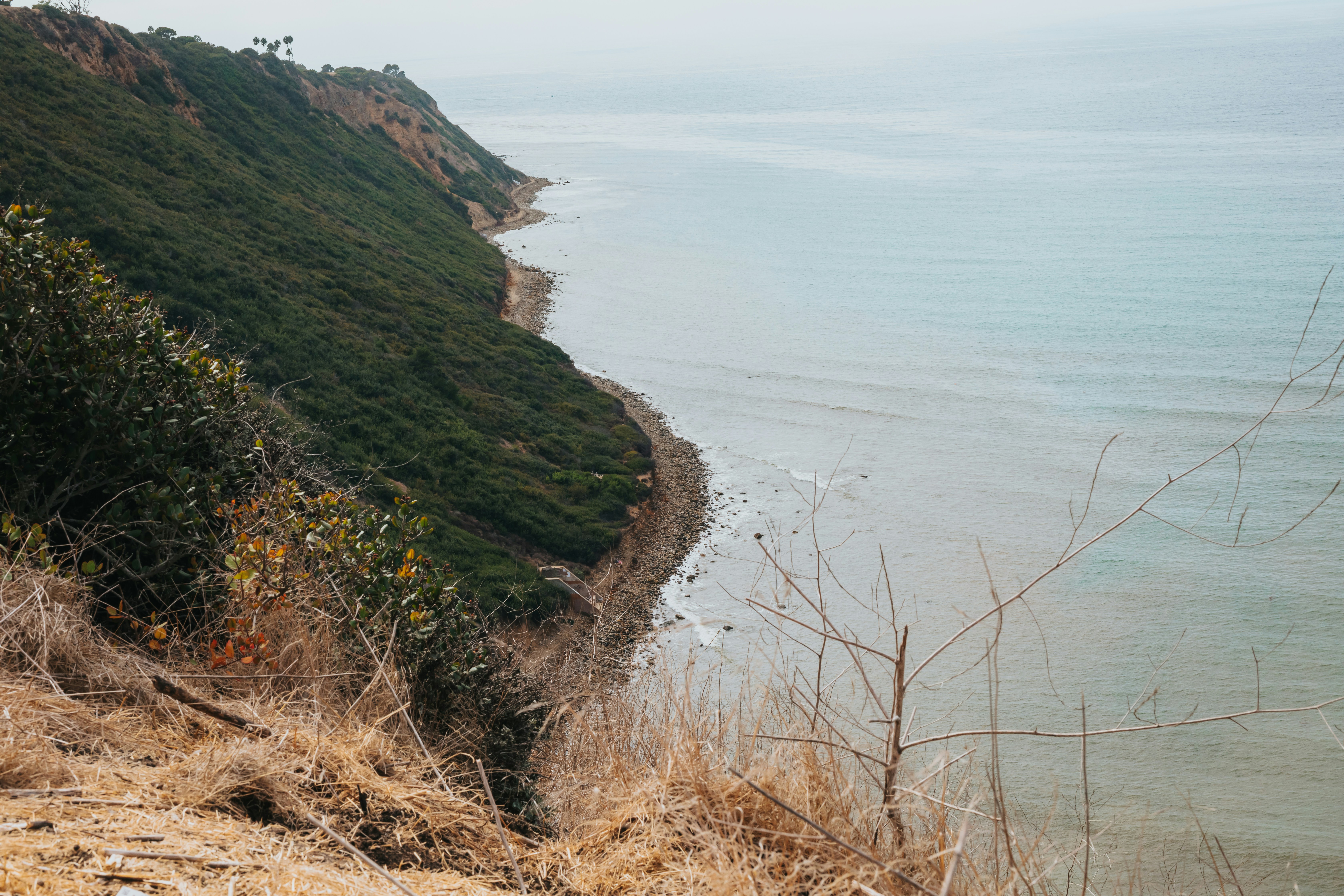 Photo by donovan_valdivia