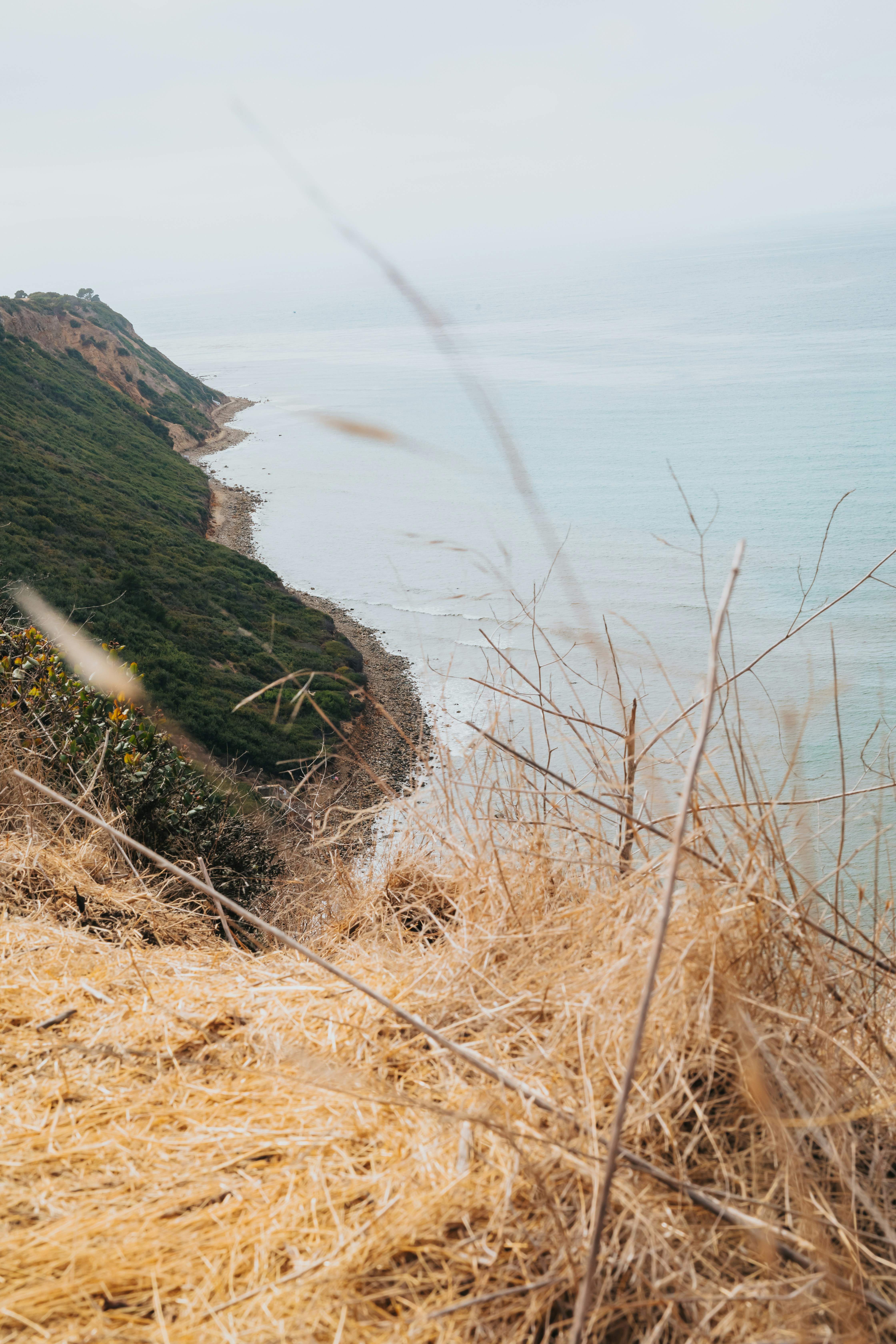 Photo by donovan_valdivia