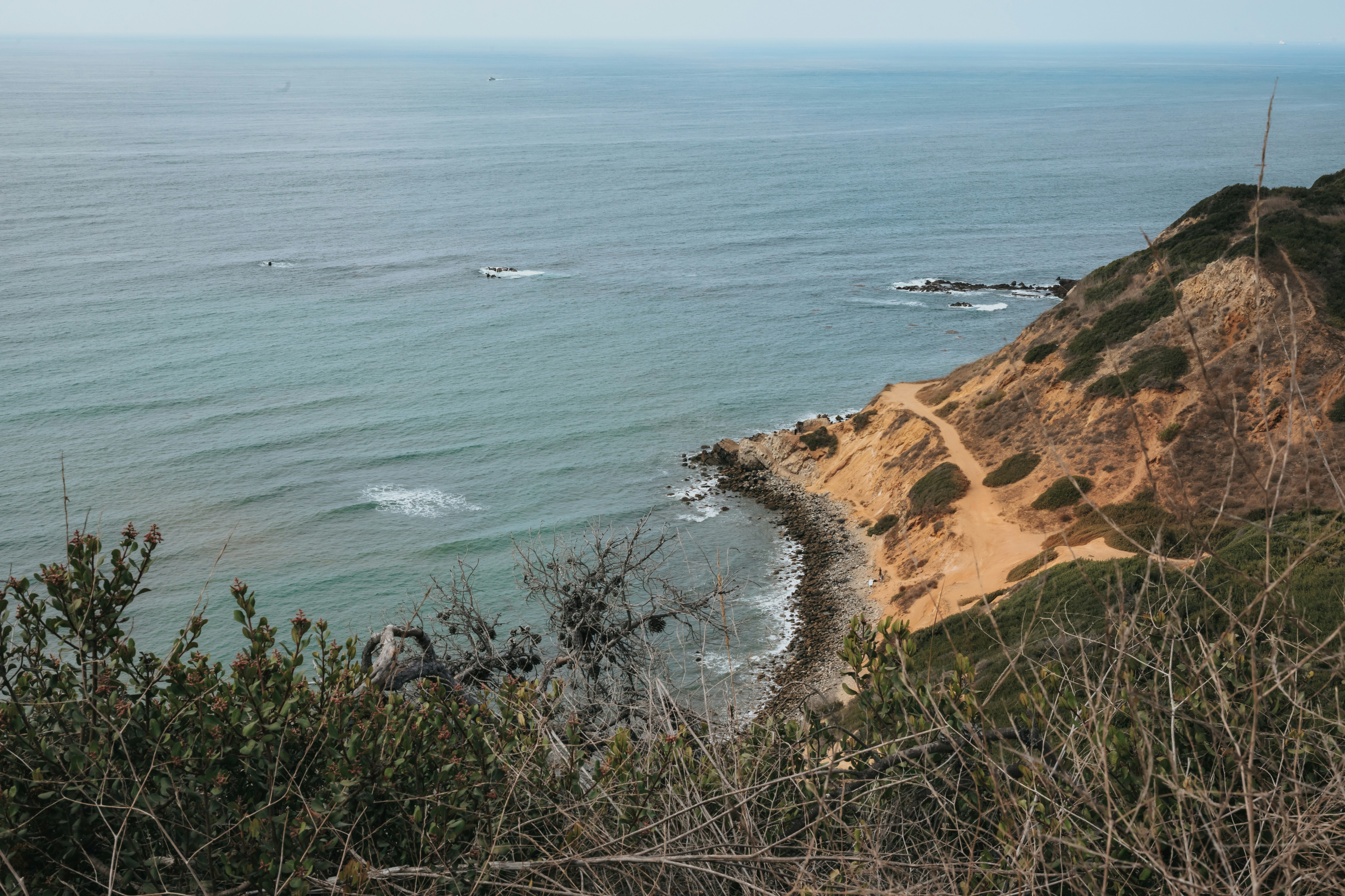 Photo by donovan_valdivia