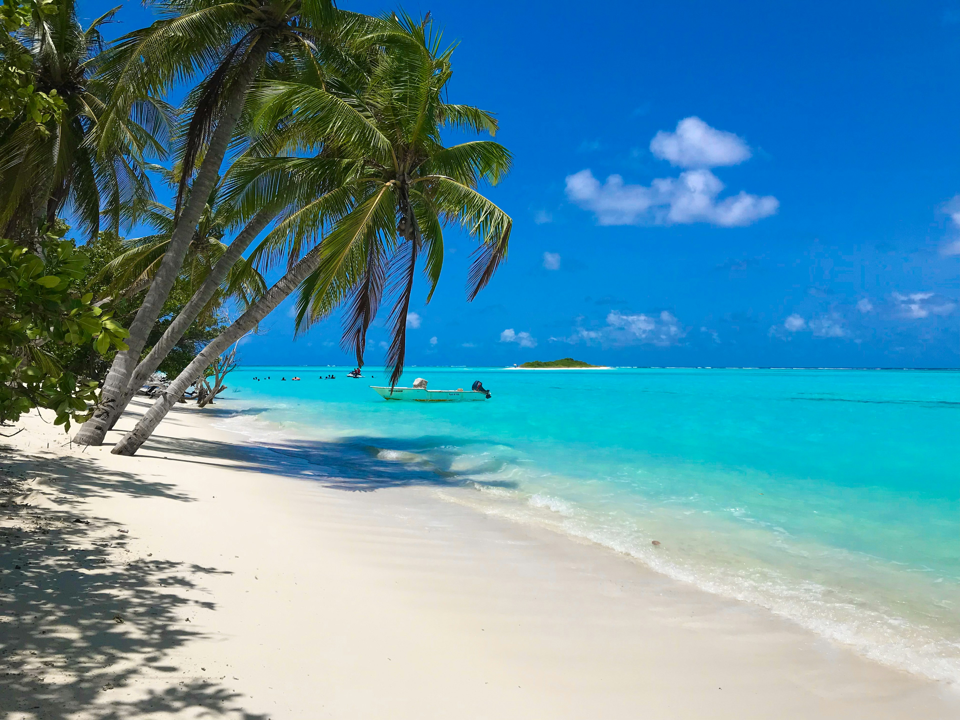 una spiaggia tropicale con spiaggia bianca e palme, ecco le spiagge più belle del mondo da visitare