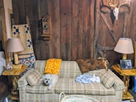 A cozy living room with a dog resting peacefully on a couch.